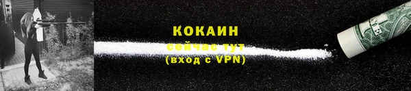 шишки Вязьма