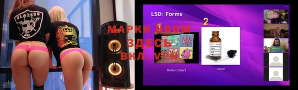 шишки Вязьма