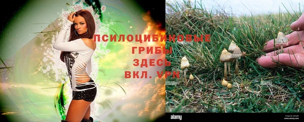 шишки Вязьма