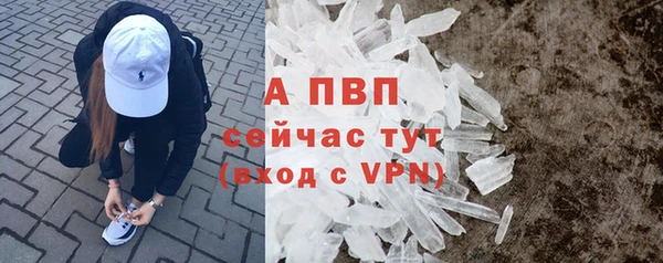 шишки Вязьма
