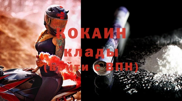 шишки Вязьма
