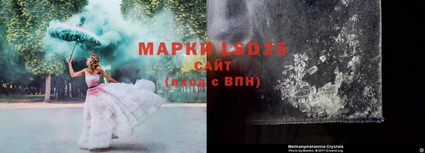 шишки Вязьма