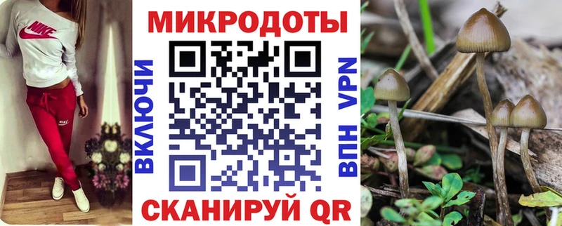Псилоцибиновые грибы Cubensis  Курск 